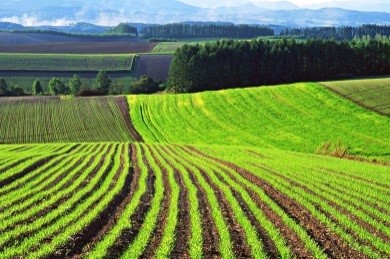 Оценка сельхозугодий